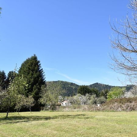 Spacious Holiday Home With Sauna In Celles Sur Plaine Eguisheim Luaran gambar