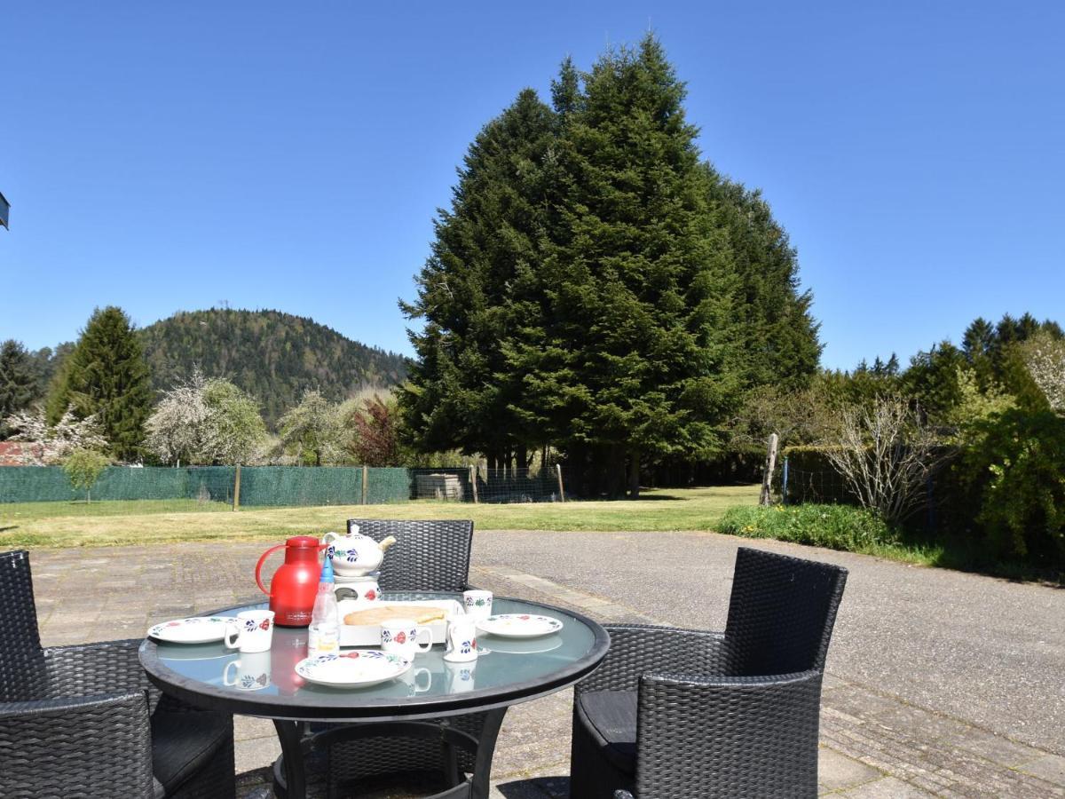 Spacious Holiday Home With Sauna In Celles Sur Plaine Eguisheim Bilik gambar