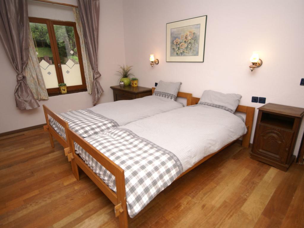 Spacious Holiday Home With Sauna In Celles Sur Plaine Eguisheim Luaran gambar