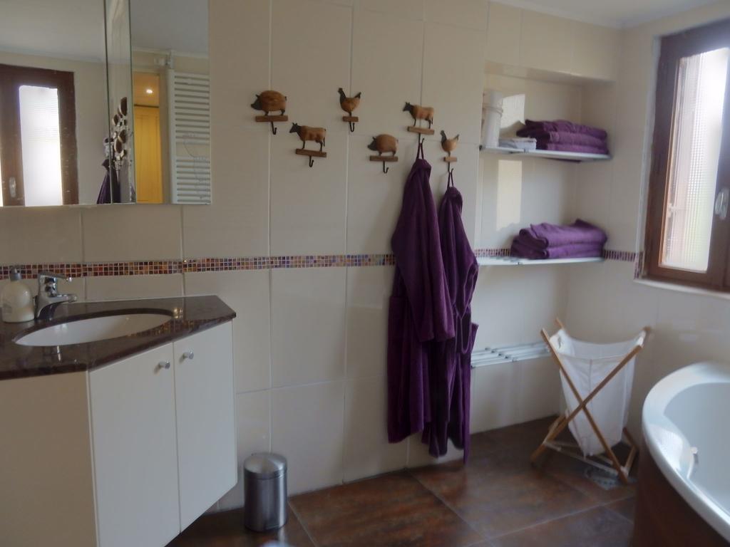 Spacious Holiday Home With Sauna In Celles Sur Plaine Eguisheim Luaran gambar