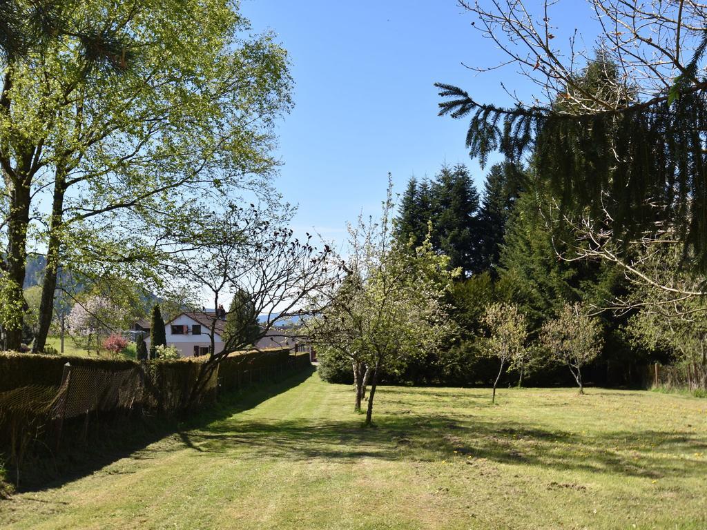 Spacious Holiday Home With Sauna In Celles Sur Plaine Eguisheim Luaran gambar